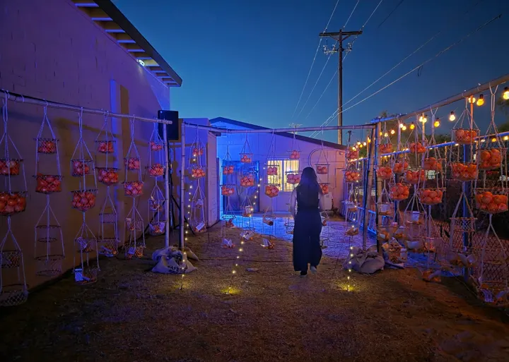 Tucson's Louis Market reopens as cultural arts center