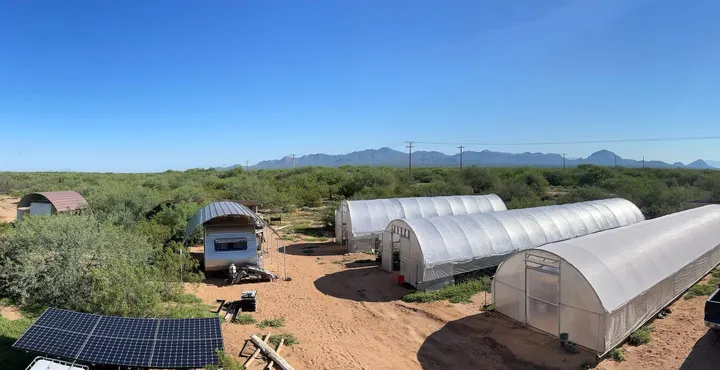 Southern Arizona farmers test new tactics against drought
