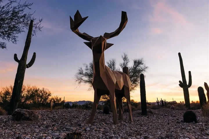Marana updates public art policy, expands exemptions