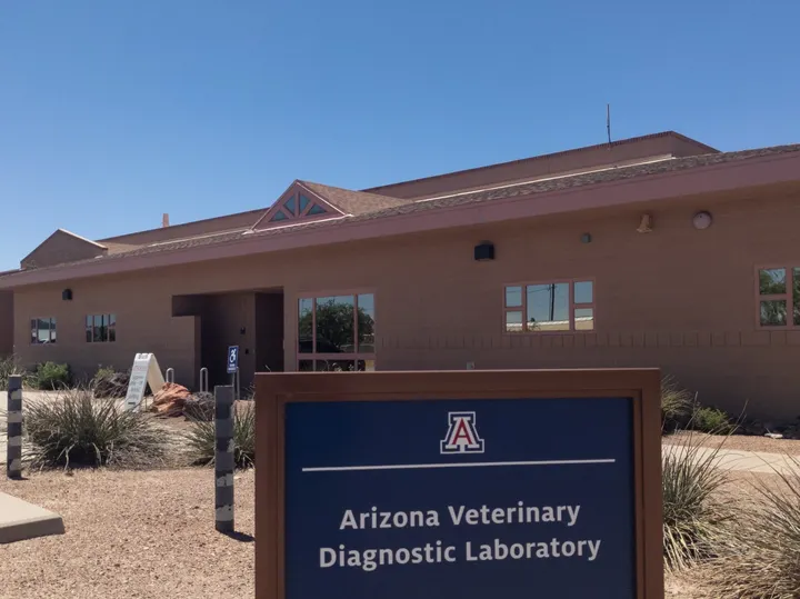 Pruebas asequibles para mascotas en laboratorio de Tucson