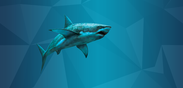 Dynamic Application Security Testing