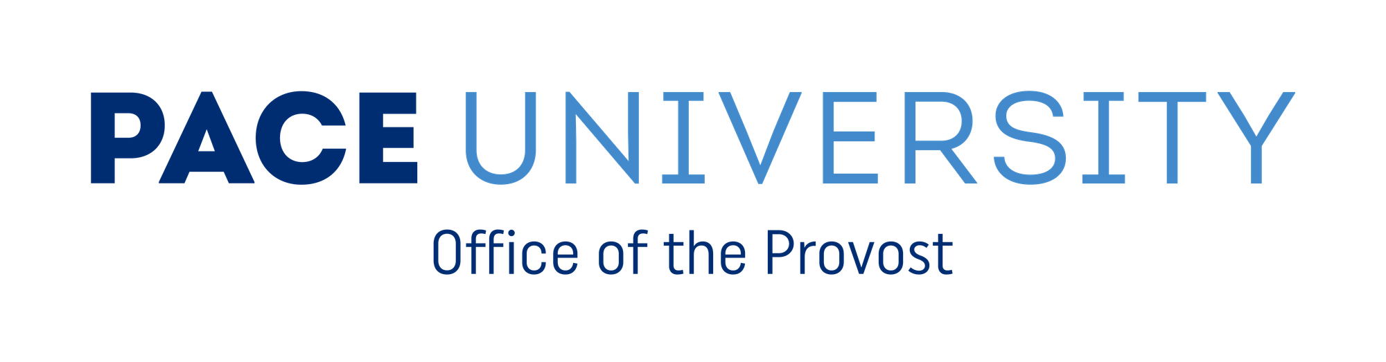 Provost at Pace University