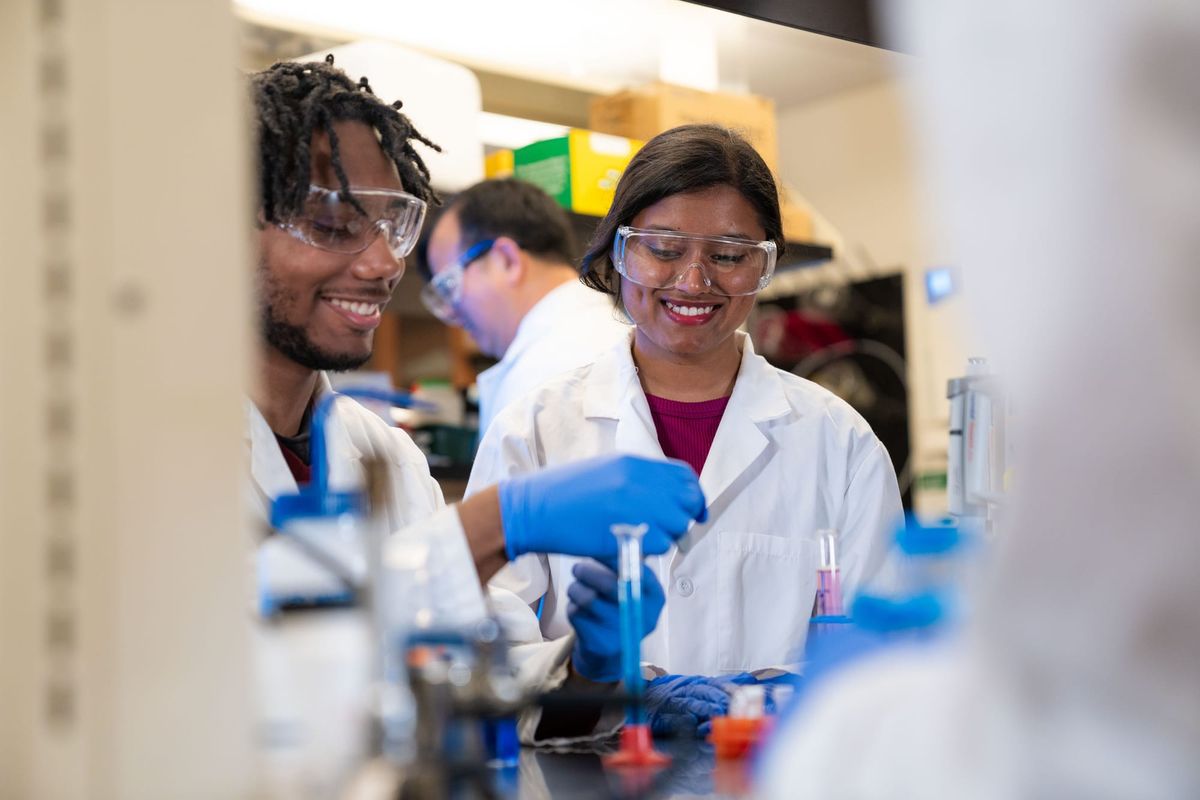 Provost Office Newsletter | November 14, 2025