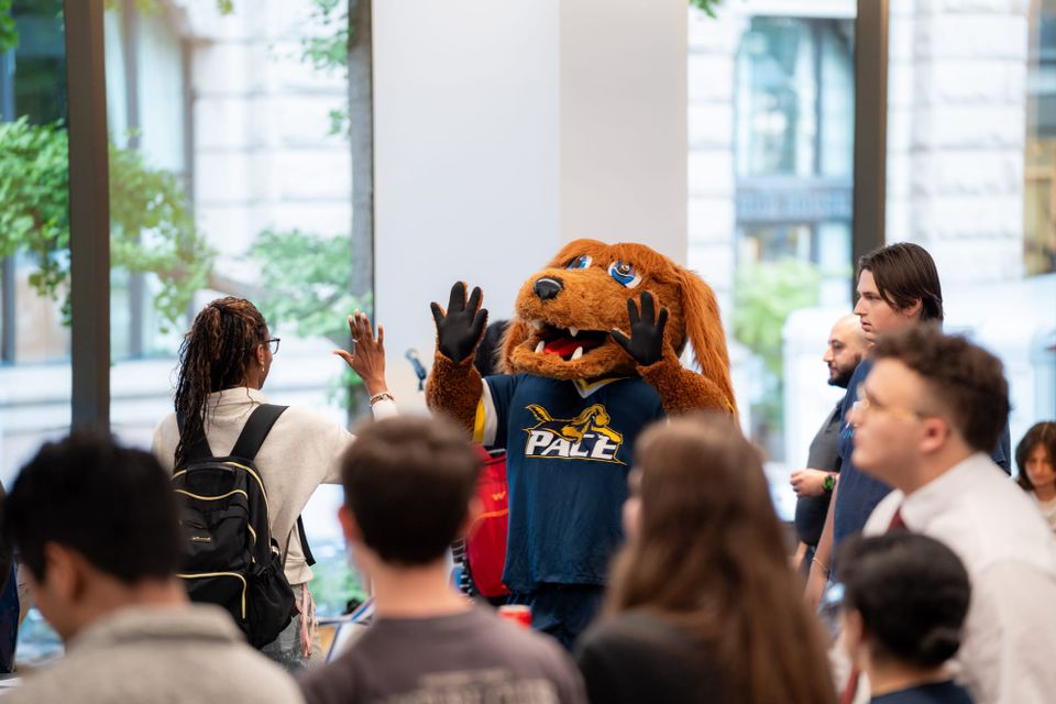 Provost Office Newsletter| September 19, 2025