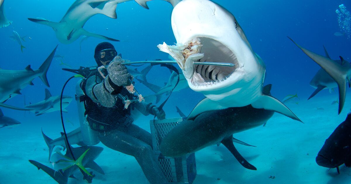 Hennessey, Part Four