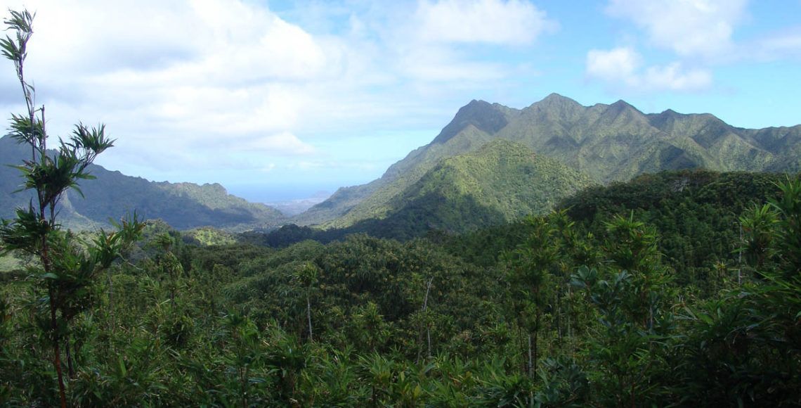 Speaker for the Gods, week 4