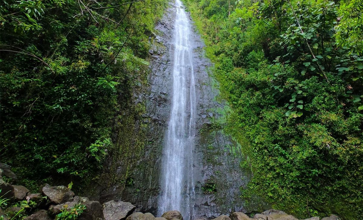 Waterfall in a tropical rainforest