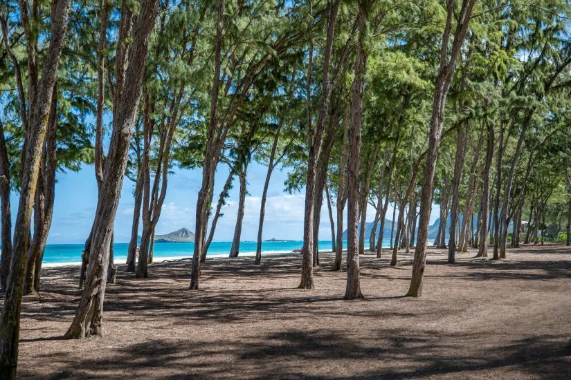 Speaker for the Gods, week 18