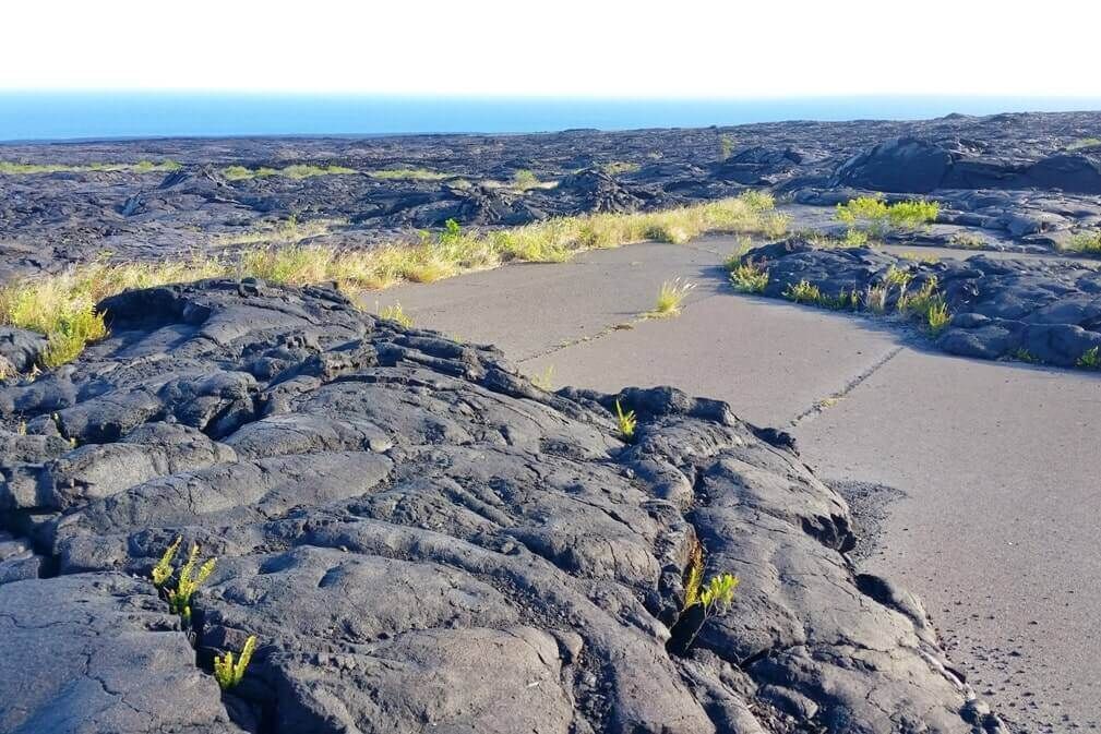 Lava fields, Kona coast