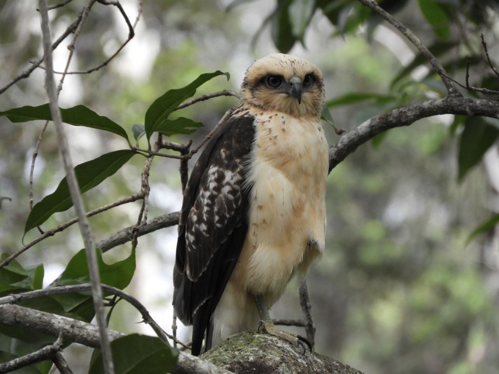 Speaker for the Gods, week 24