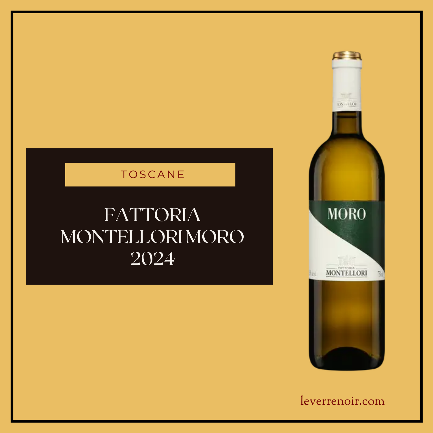Fattoria Montellori Moro 2024