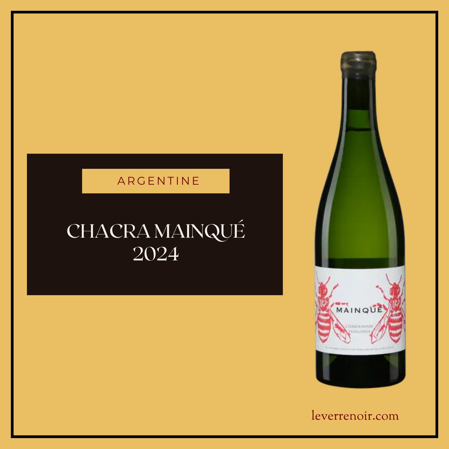 Chacra Mainqué 2024