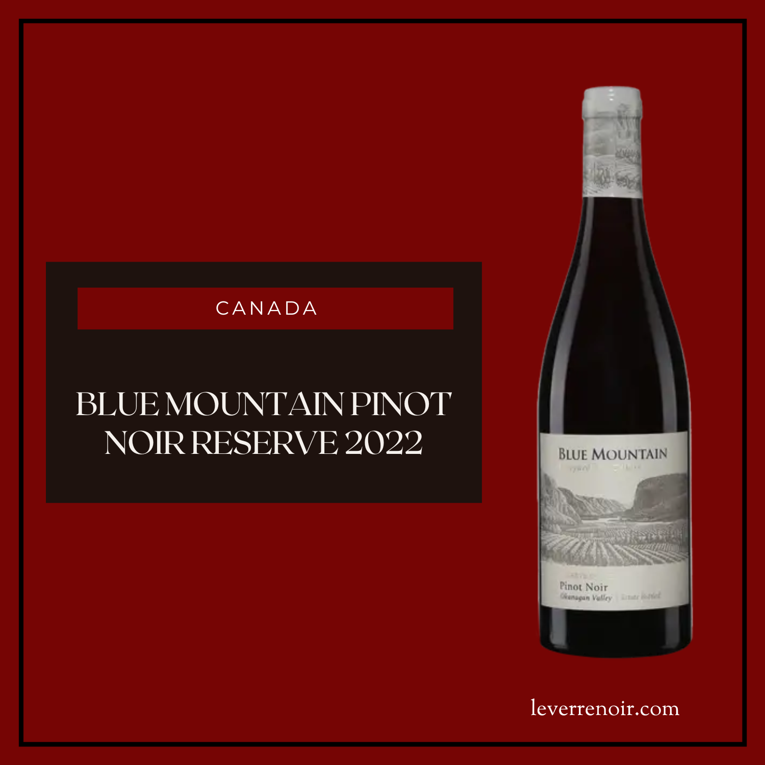 Blue Mountain Pinot Noir Reserve 2022