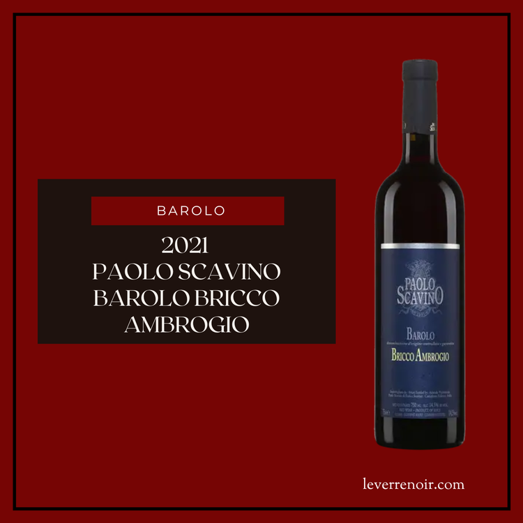 2021 Paolo Scavino Barolo Bricco Ambrogio