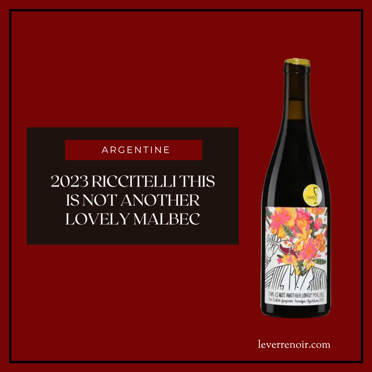 2023 Riccitelli This is not another lovely Malbec