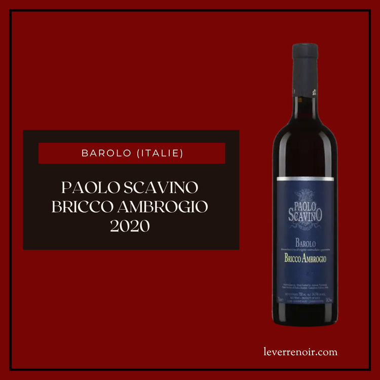Paolo Scavino Bricco Ambrogio 2020