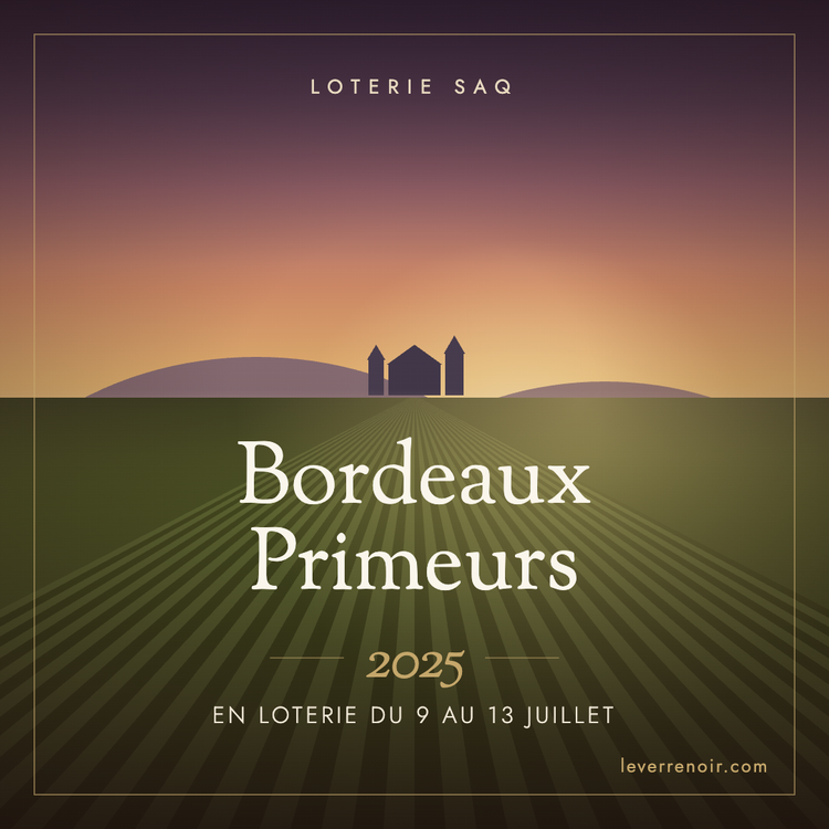 Bordeaux 2025 à la SAQ : un classement par valeur