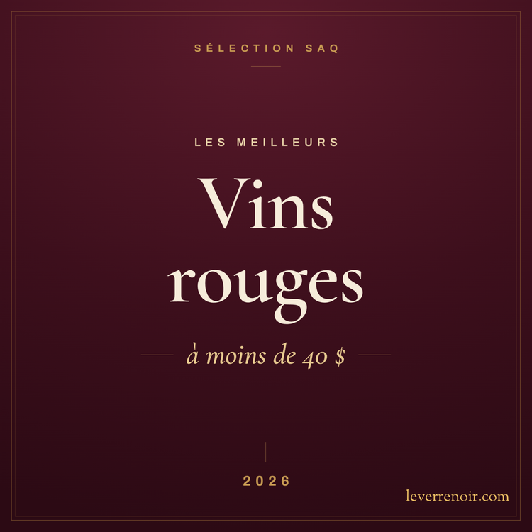 Les meilleurs vins rouges à moins de 40 $ à la SAQ (2026)