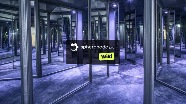 La teoria della riflessività