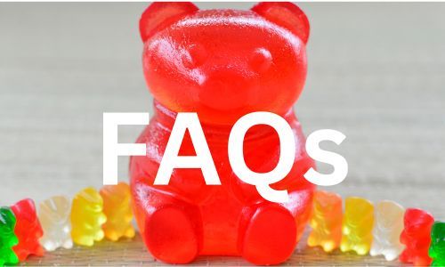 Giant Gummy Bear
