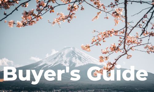 Japanese Whiskey Glass