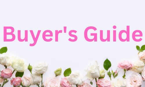 Pink and White Roses