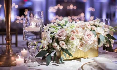 Pink and White Roses