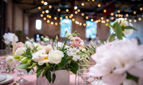 Pink and White Roses