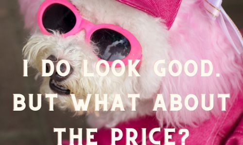 Pink Sunglasses