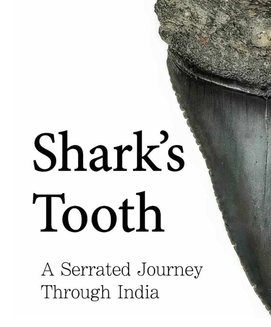 The Pain and the Beauty