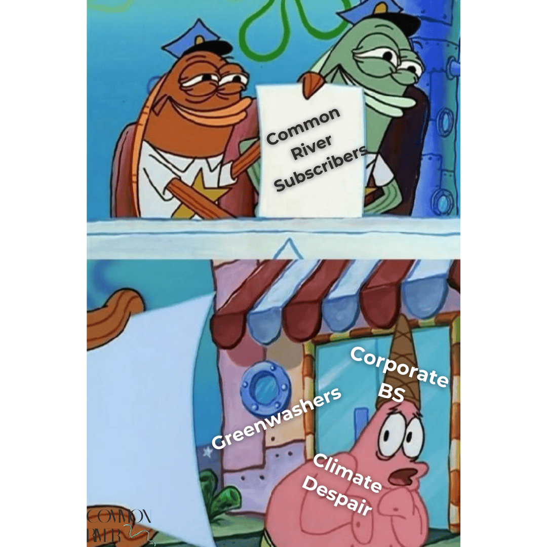 Original Image Source: https://imgflip.com/memegenerator/176735426/patrick-scared