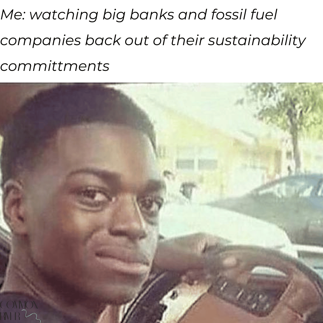 Original image source: https://imgflip.com/memegenerator/66460757/black-guy-in-car