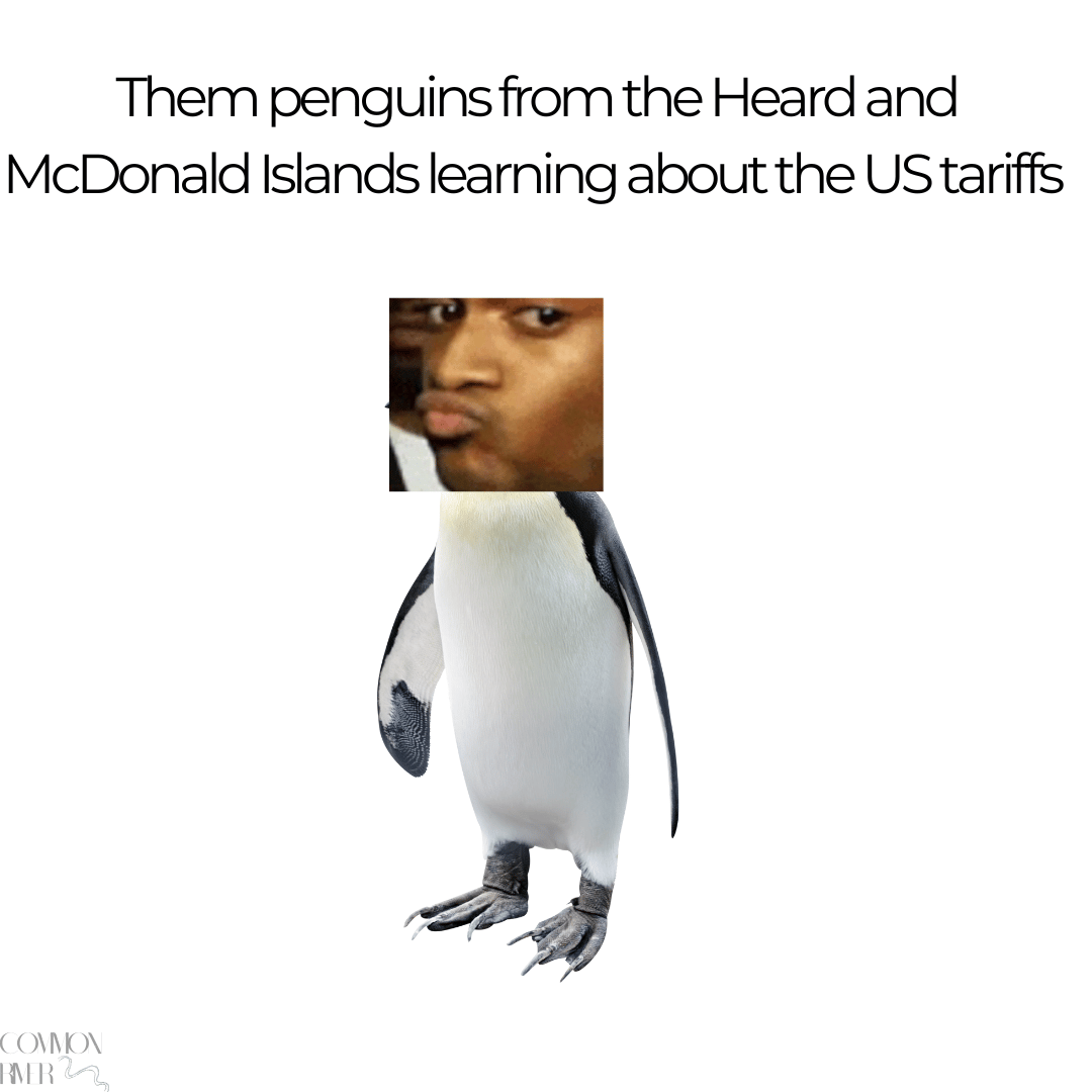 Read more: https://www.bbc.com/news/articles/ce84jr5mvnno