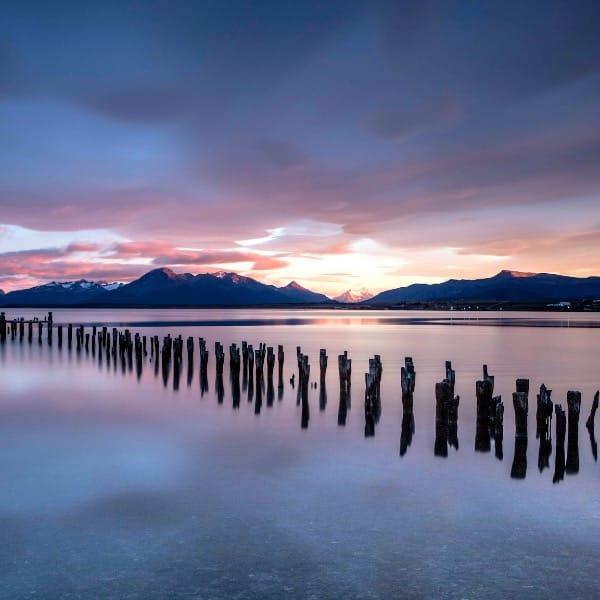 Wooden posts in patagonian lake at sunrise