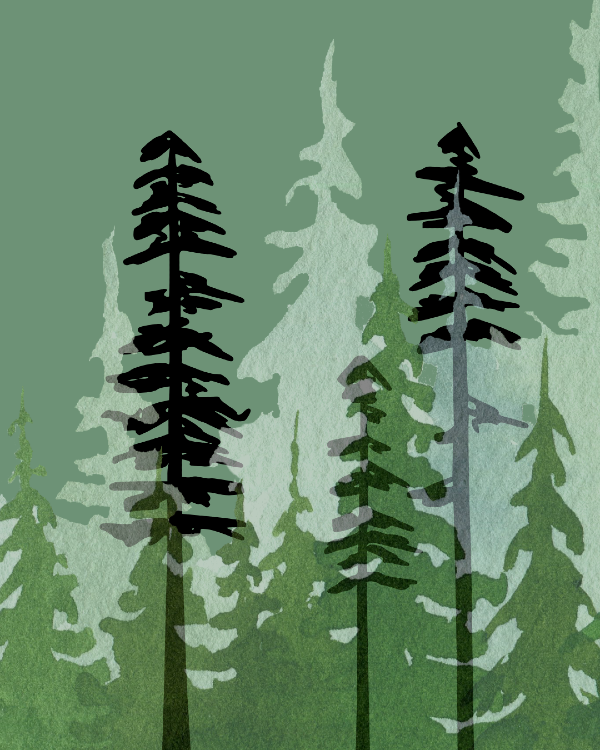 Into the Trees / 1