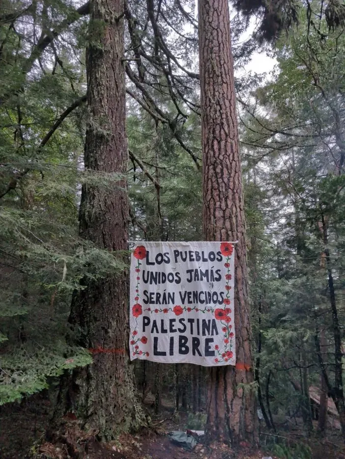 a banner hanging on a tree in solidarity with the economic blockades of A15, it says "los pueblos unidos jamas seran vencidos" and "palestina libre"