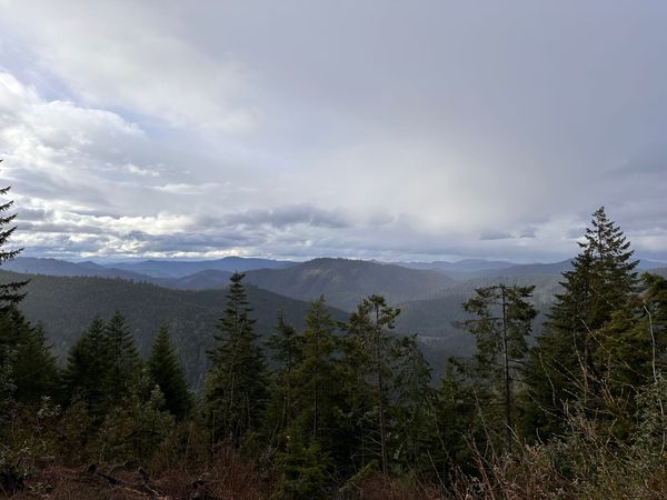 Salmon Run Forest Defense - Southern Oregon