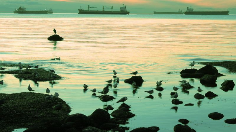 Thanks for joining! Here's what's next.