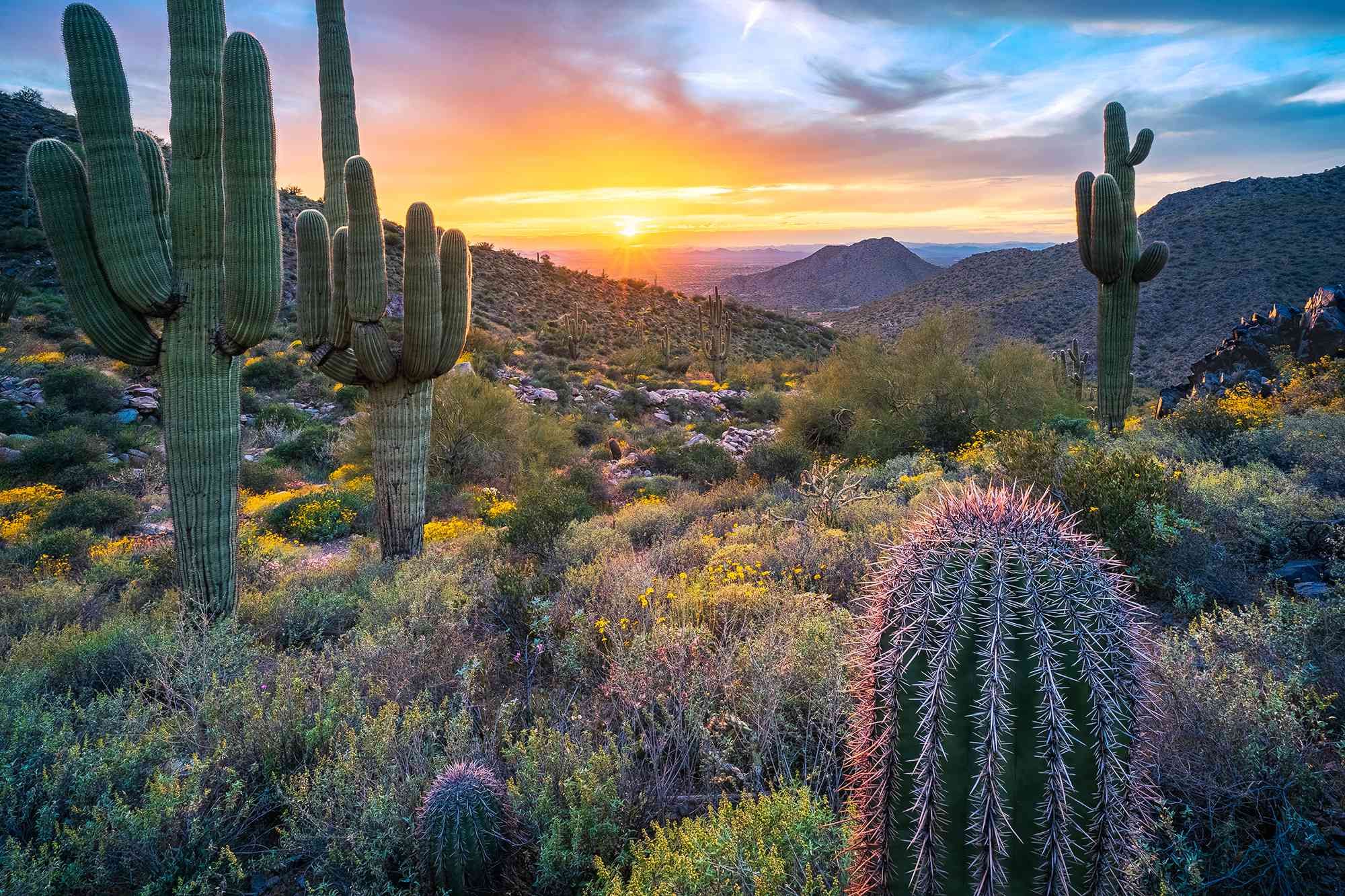 Arizona Passes Digital Asset Law with New Bitcoin Reserve Fund