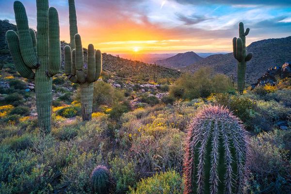 Arizona Passes Digital Asset Law with New Bitcoin Reserve Fund