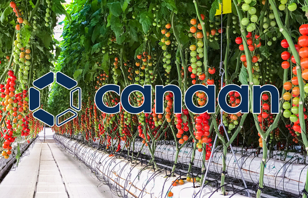 Canaan Launches Bitcoin Mining Heat Project for Sustainable Greenhouse Operations in Canada