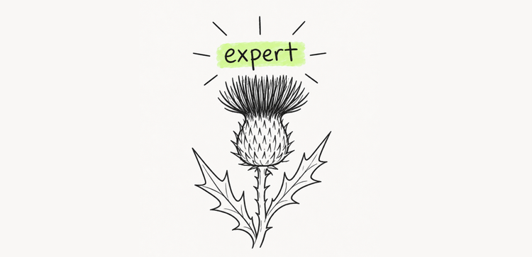 The expert in the room