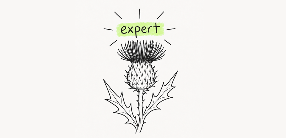 The expert in the room