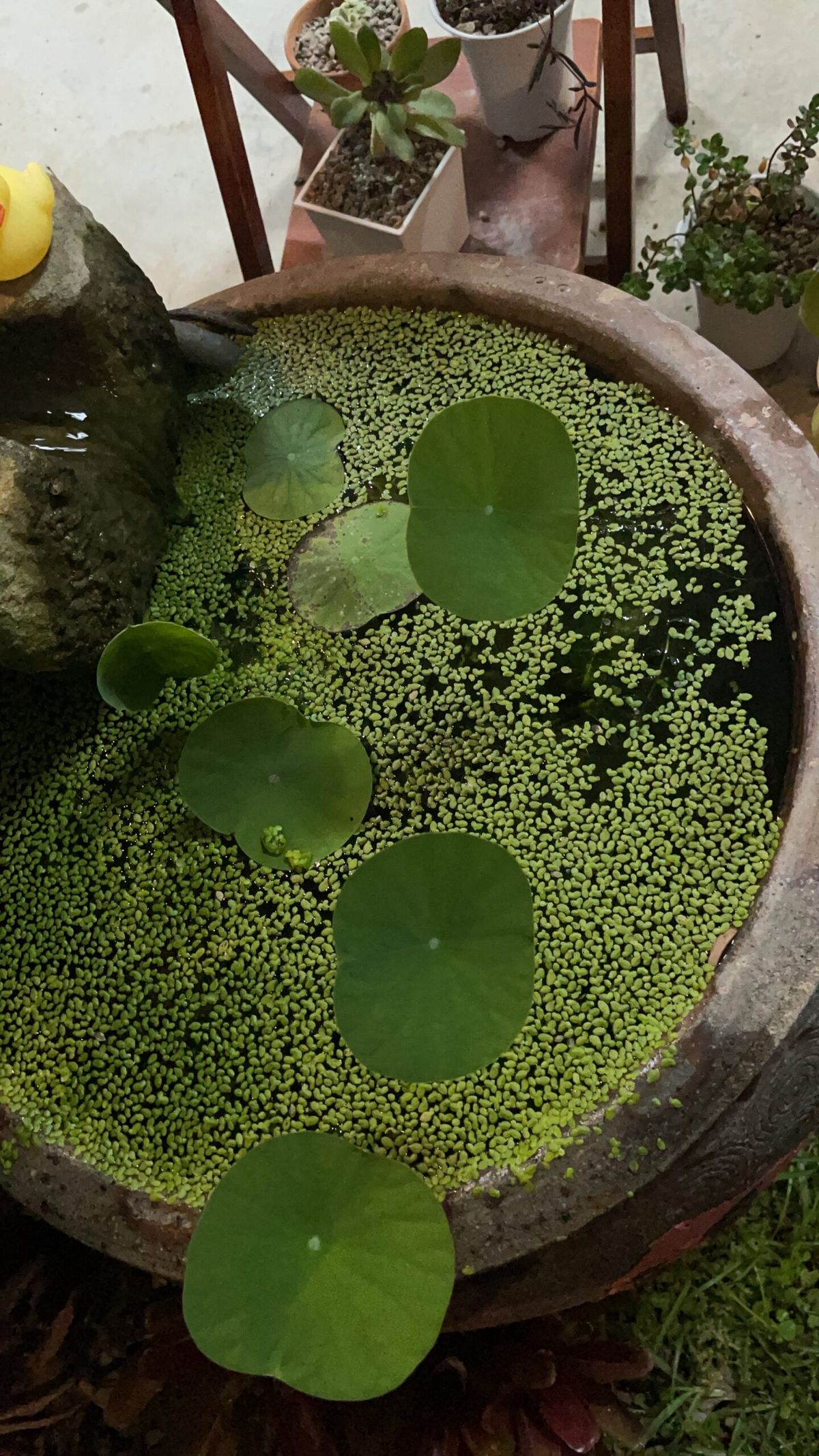 【執業雜談】律師的休假日常