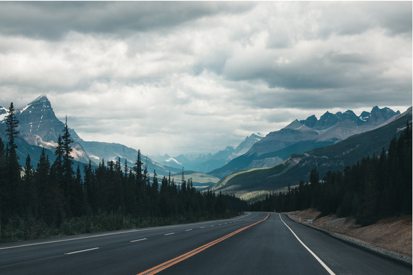 The Roadmap I Wish I'd Had Before Filing My Probate Case