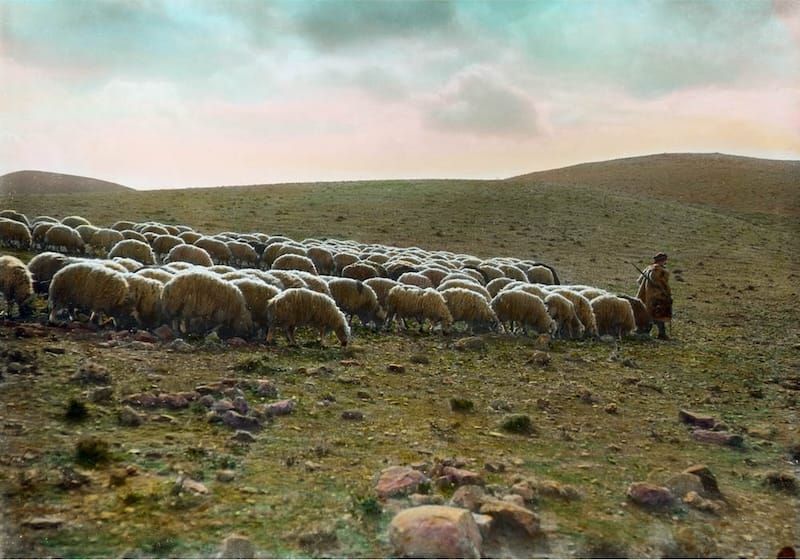 Abel is a Trailblazer