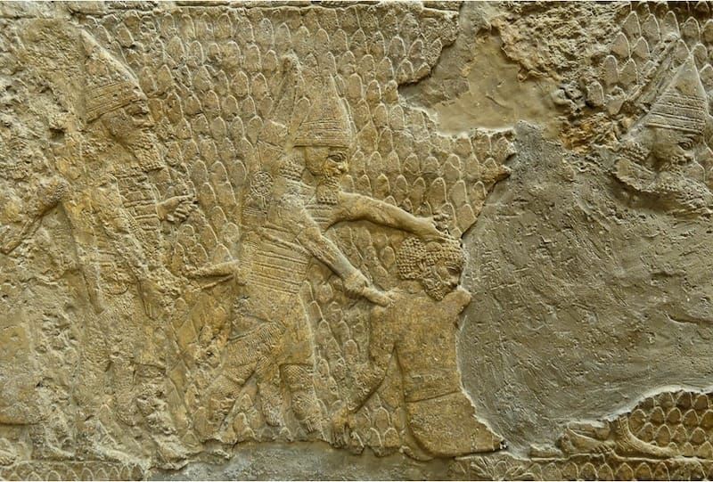 The Protagonist Dies Before the Finale- A Reflection