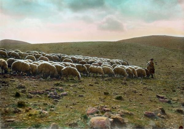 Abel is a Trailblazer