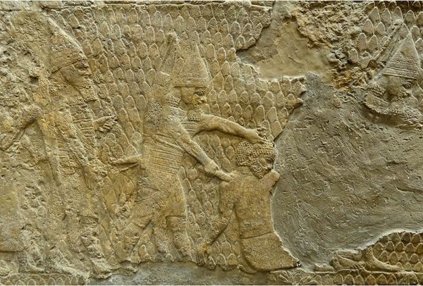 The Protagonist Dies Before the Finale- A Reflection