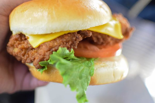 A fried chicken sandwhich